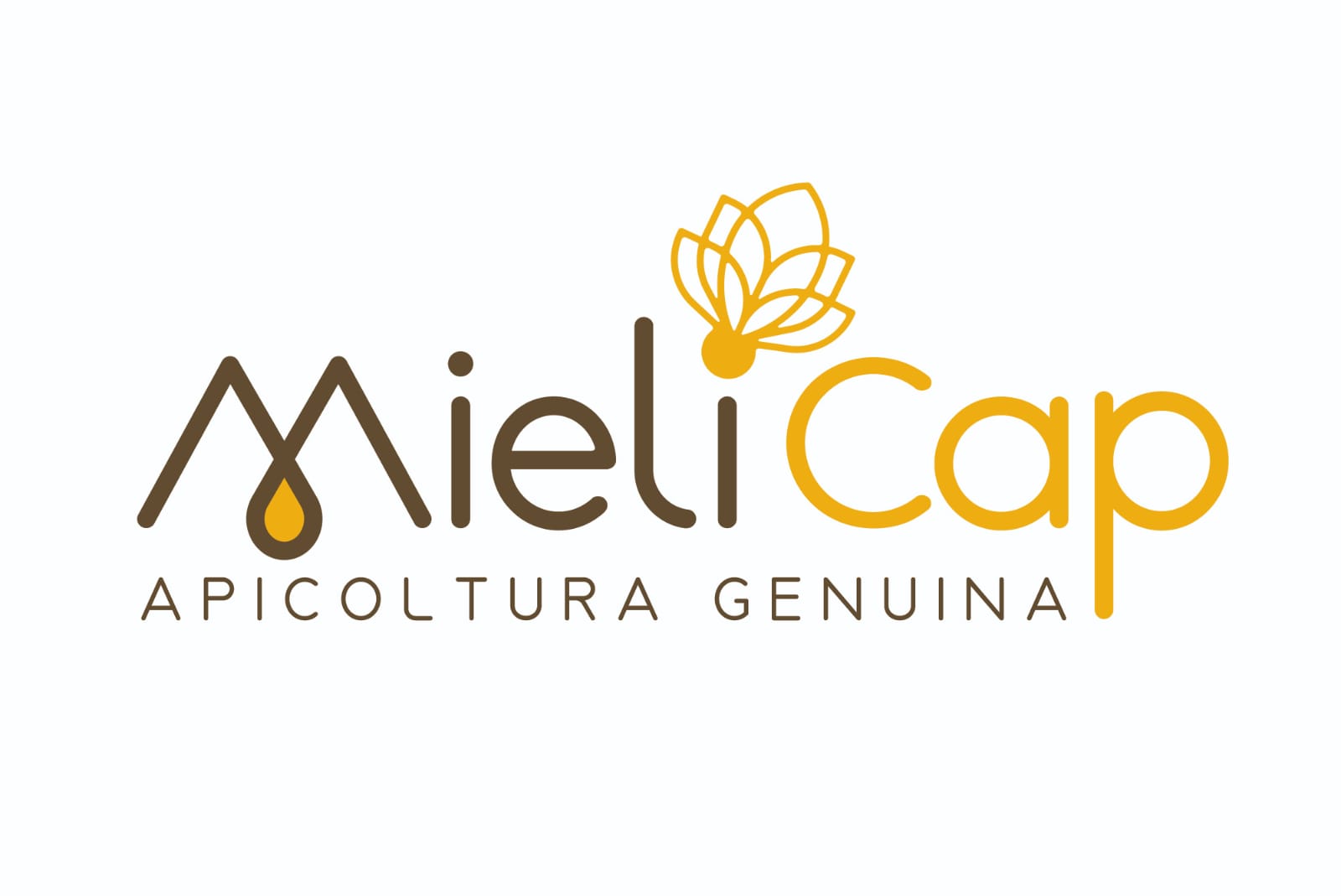 Cast-Hobby del Miele